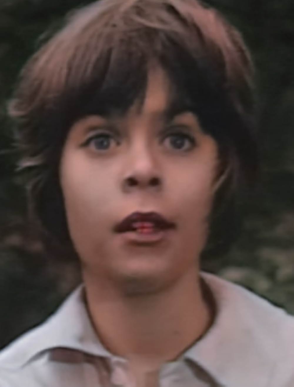 ロシュフォールの恋人たちの画像