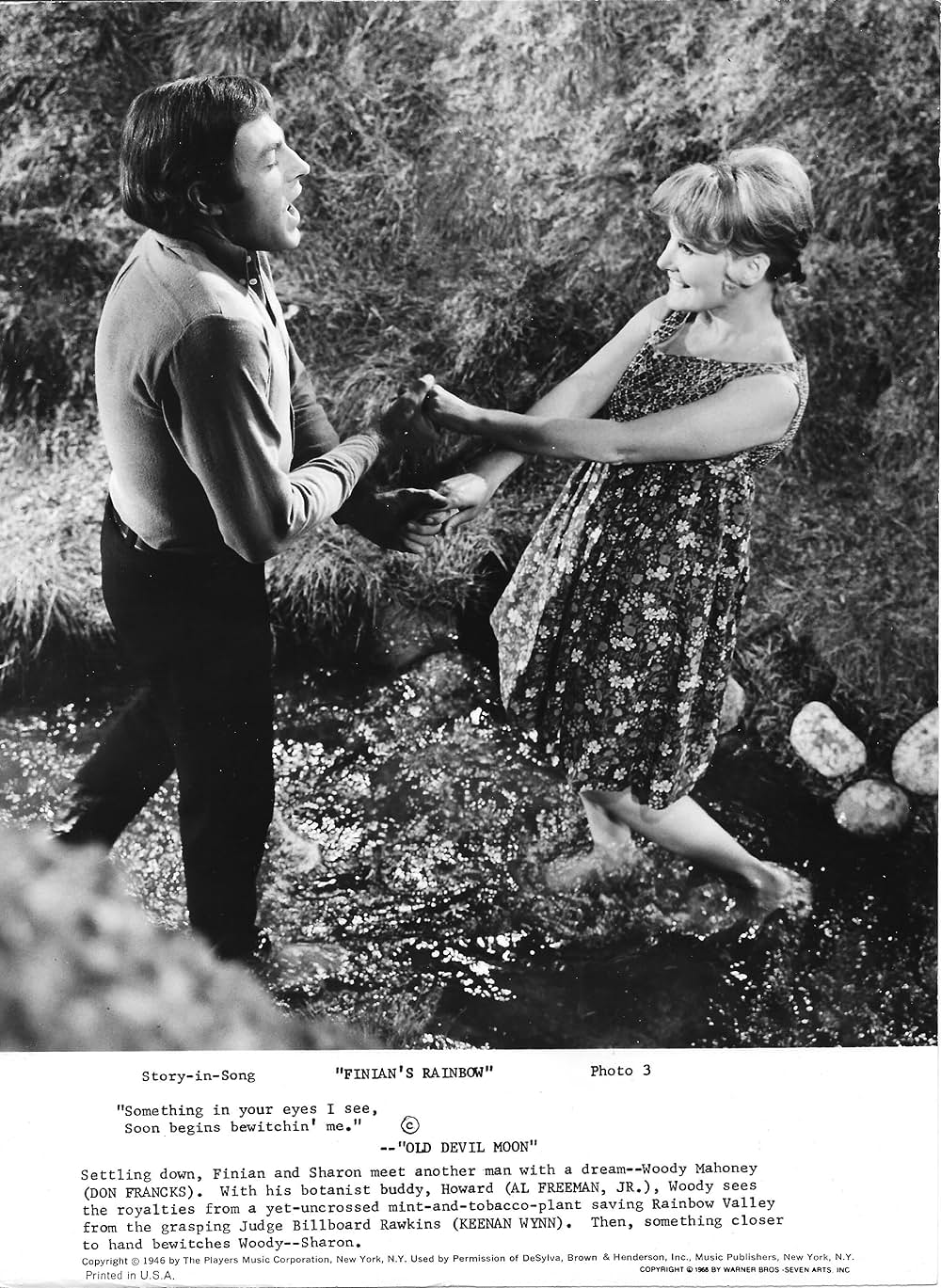 フィニアンの虹の画像