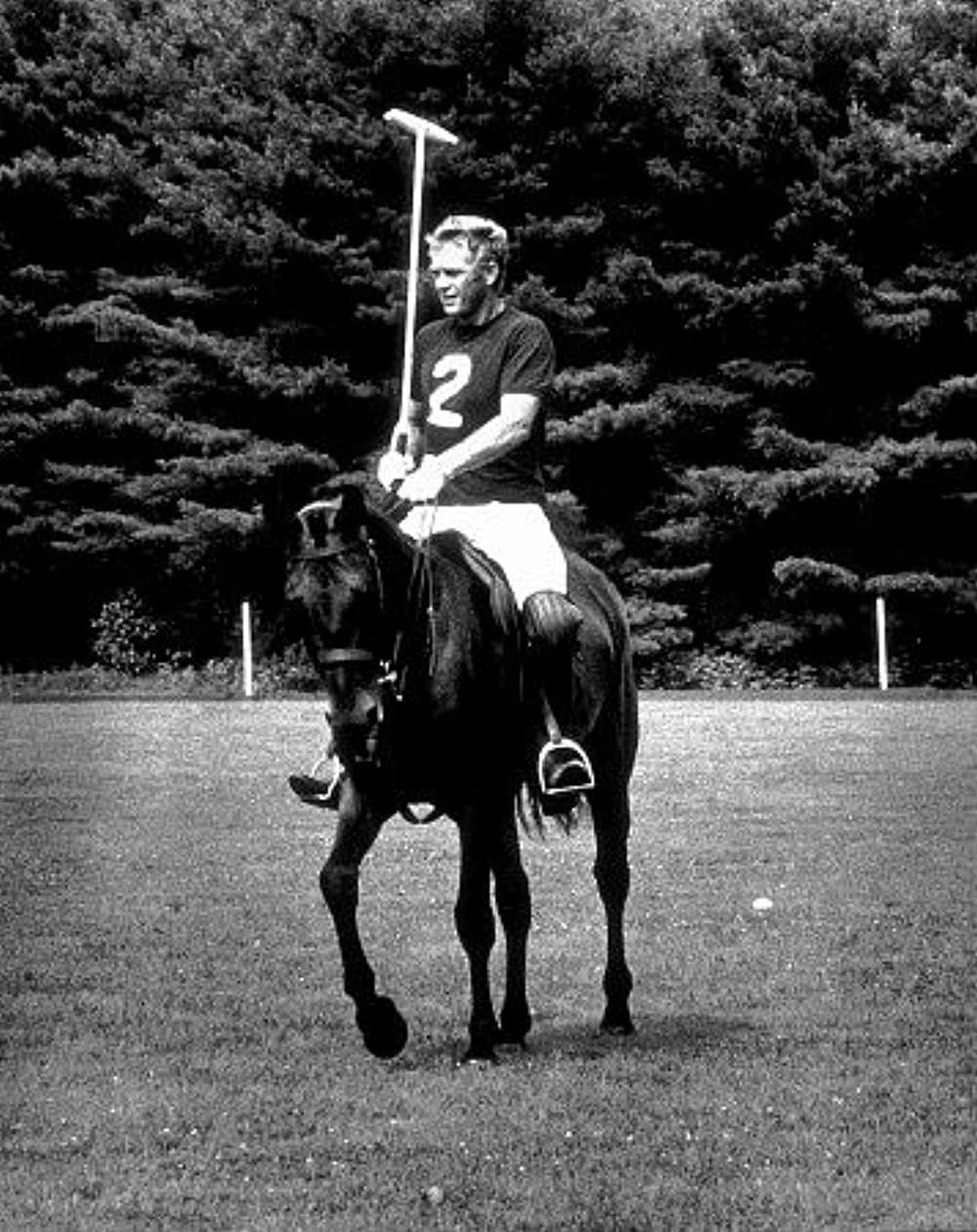 華麗なる賭けの画像