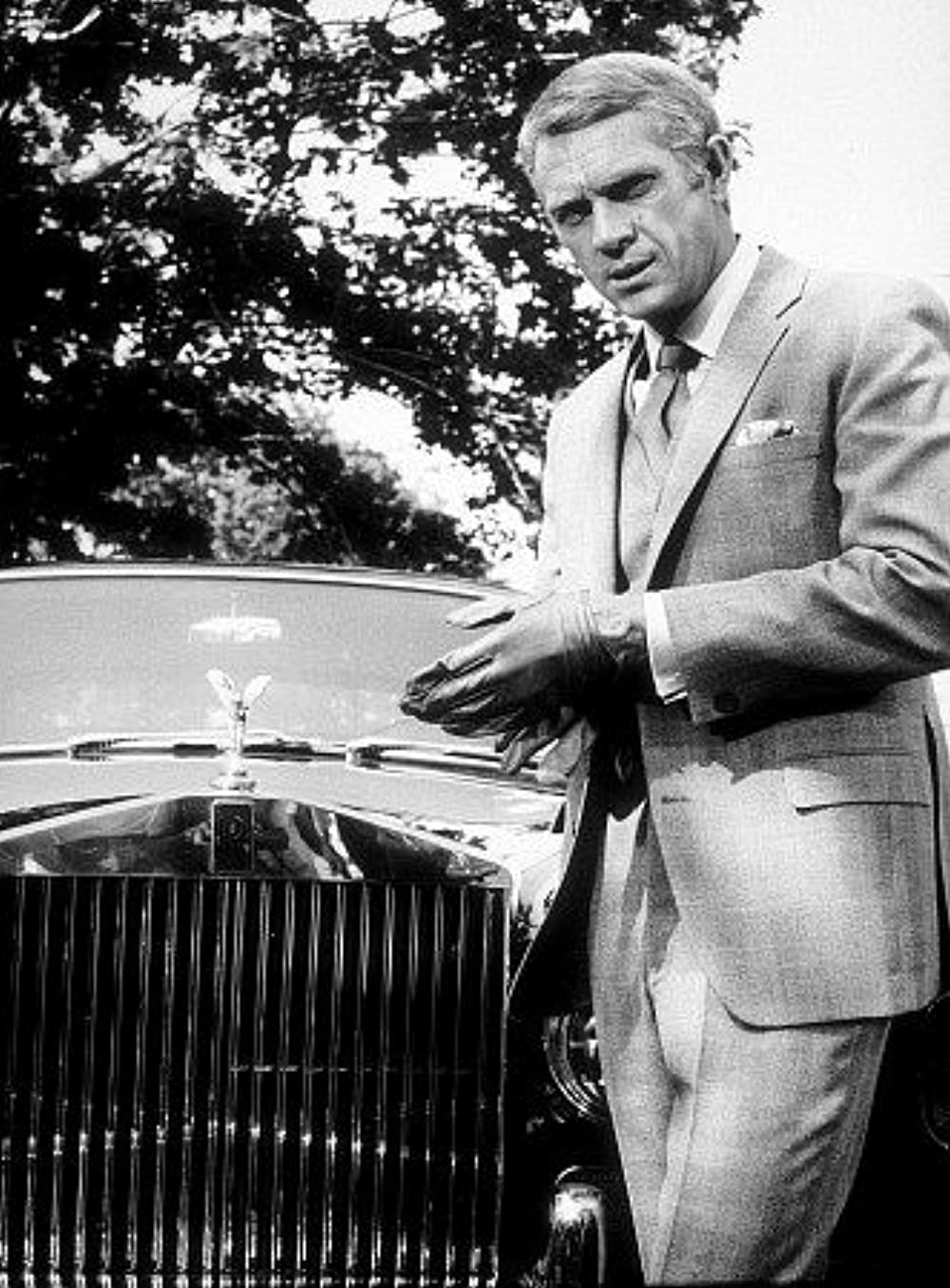 華麗なる賭けの画像