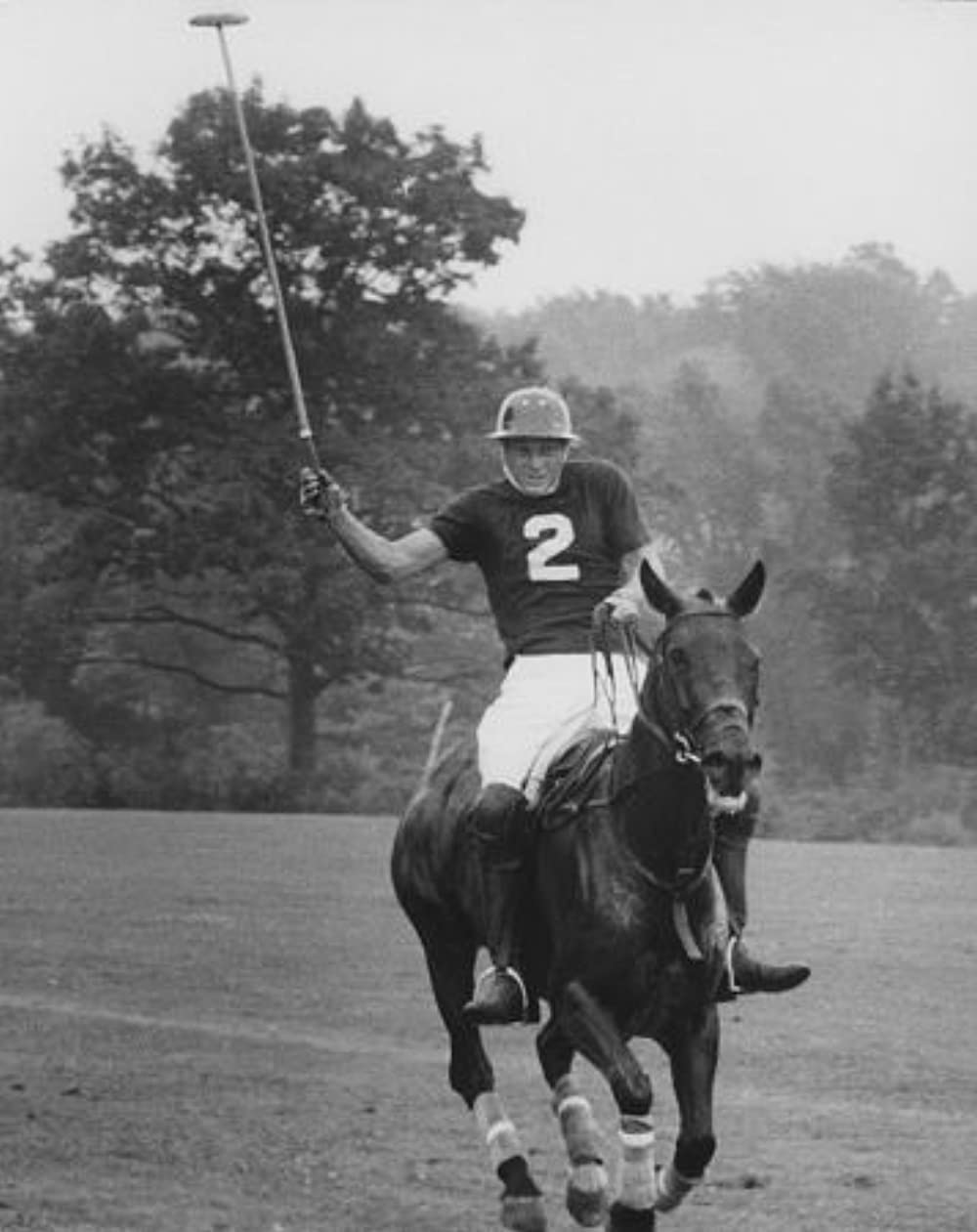 華麗なる賭けの画像