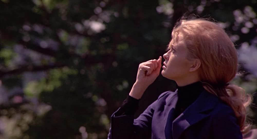 華麗なる賭けの画像