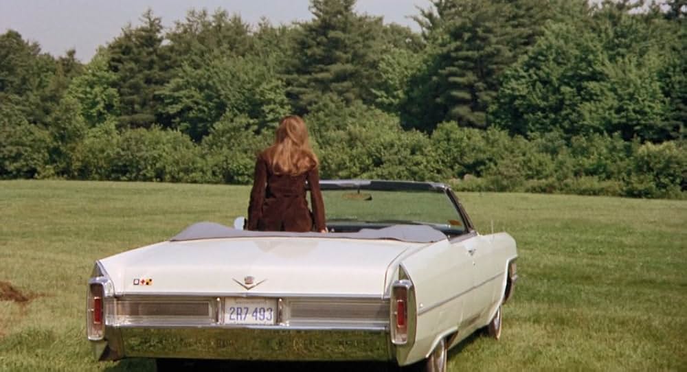 「華麗なる賭け」の画像