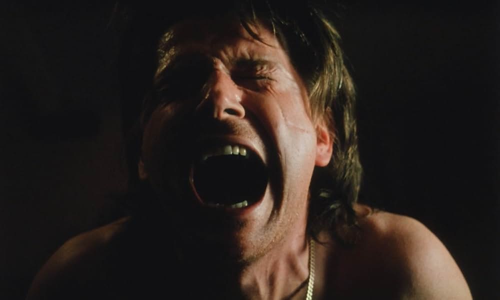 ザ・フーリガンの画像