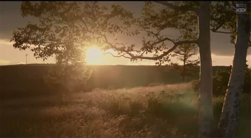 バースデーカードの画像