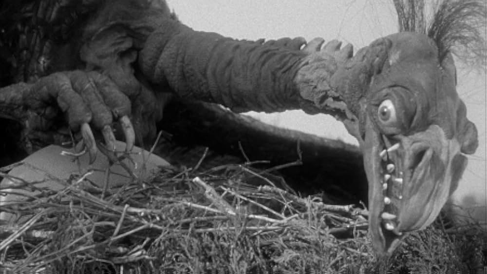 人類危機一髪！巨大怪鳥の爪の画像