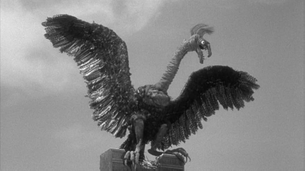 人類危機一髪！巨大怪鳥の爪の画像