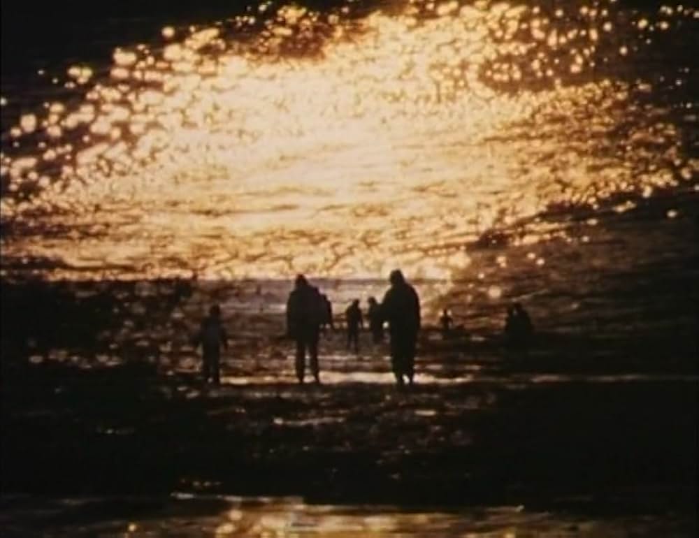 海辺にての画像