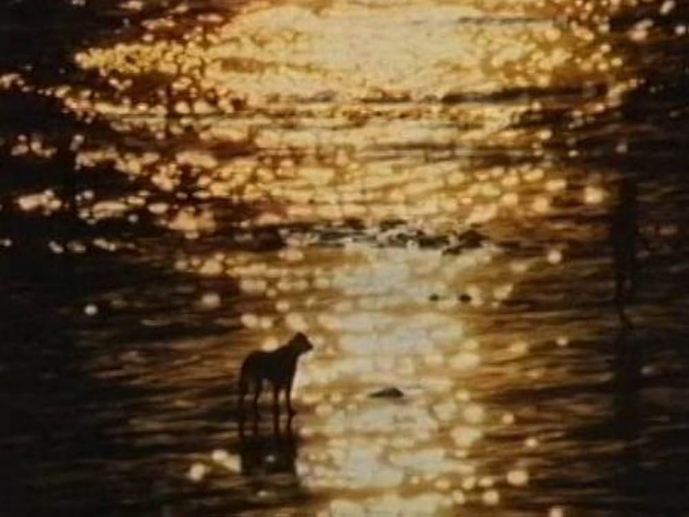 海辺にての画像