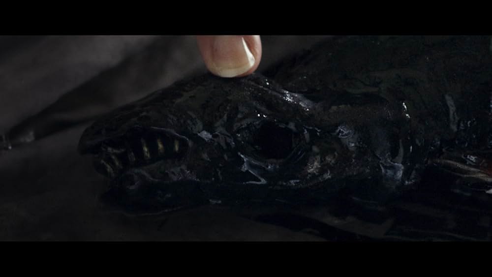 ホビッツベイの画像