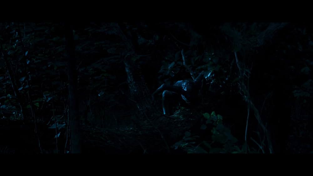 ホビッツベイの画像