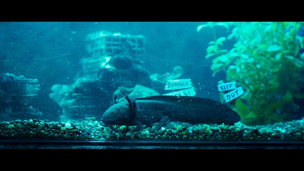 ホビッツベイの画像