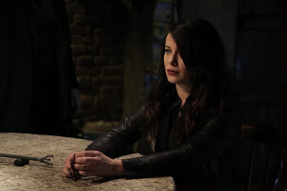 英国特殊空挺部隊 オペレーションVの画像