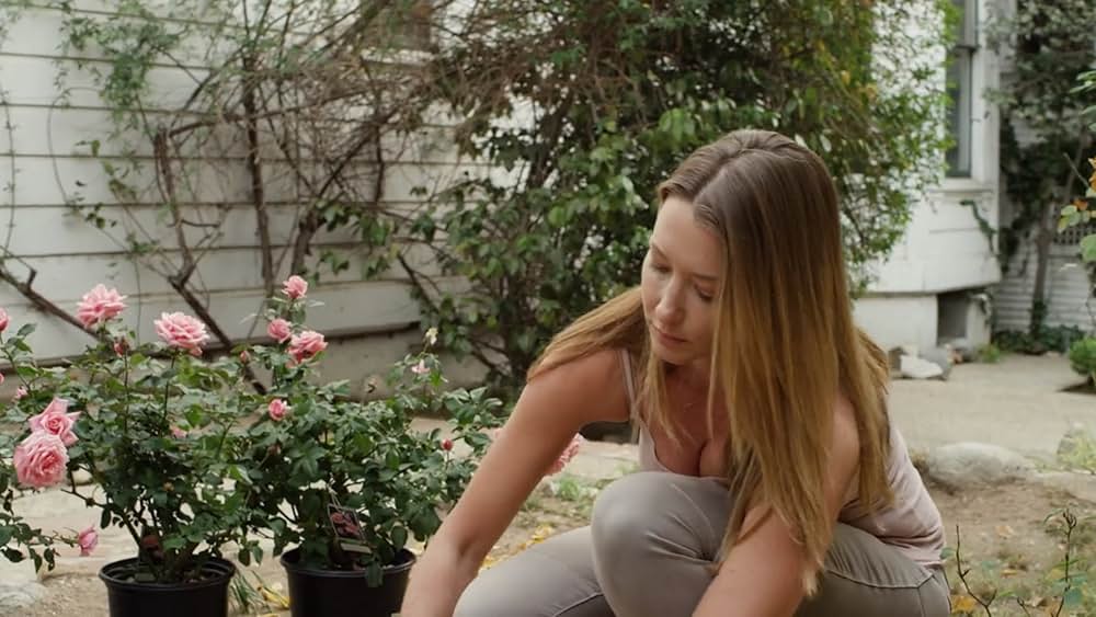 アミティヴィル 呪われた家の画像