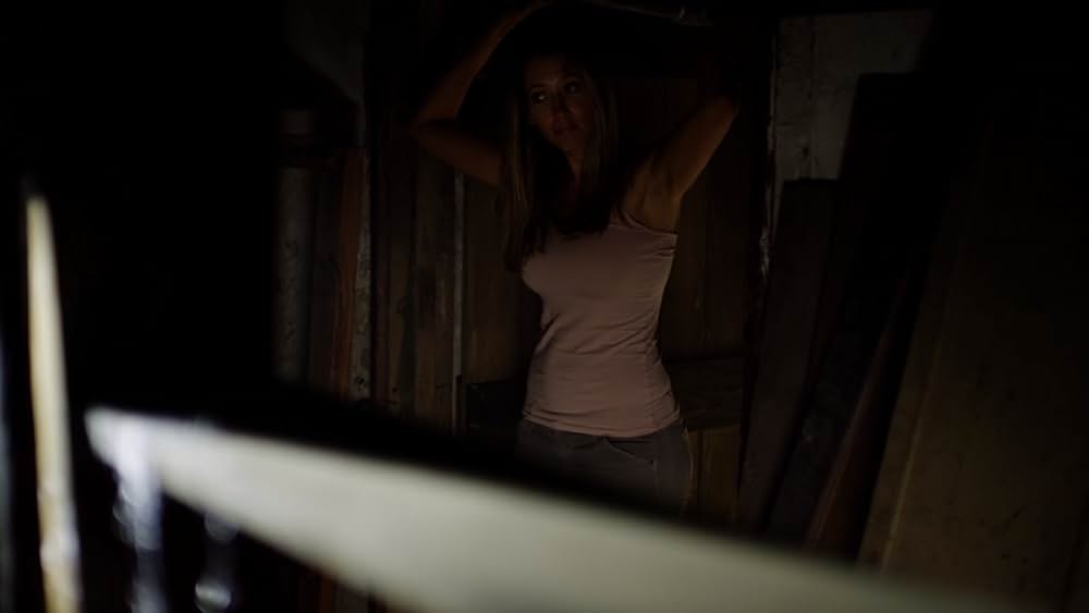 アミティヴィル 呪われた家の画像