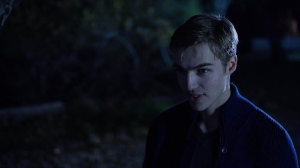 アミティヴィル 呪われた家の画像