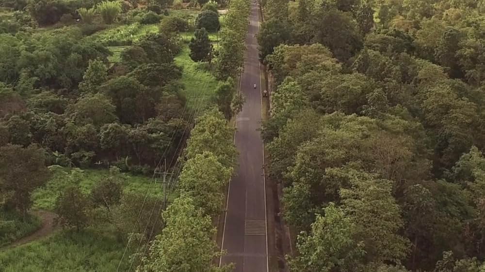 アミティヴィル 呪われた家の画像