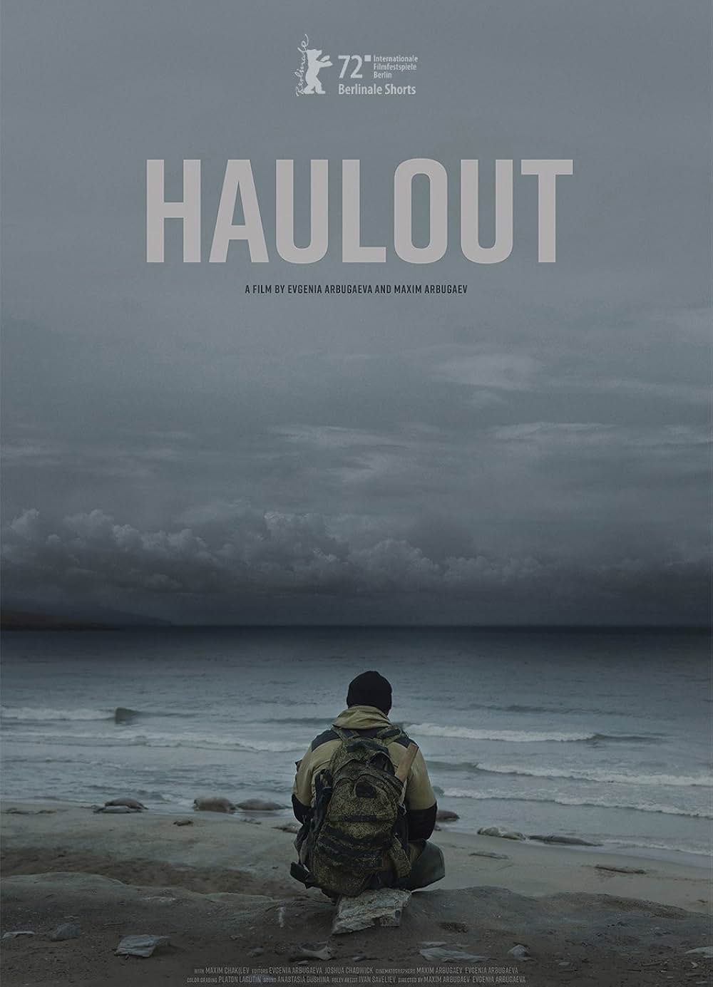 Haulout（原題）の写真