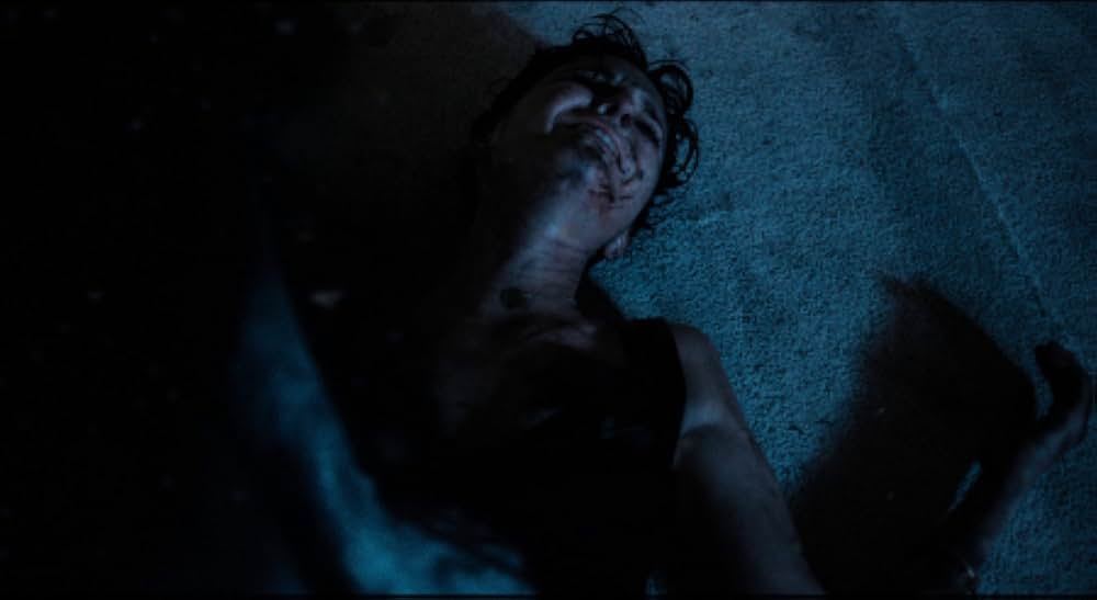 リベンジング・ハードナイトの画像