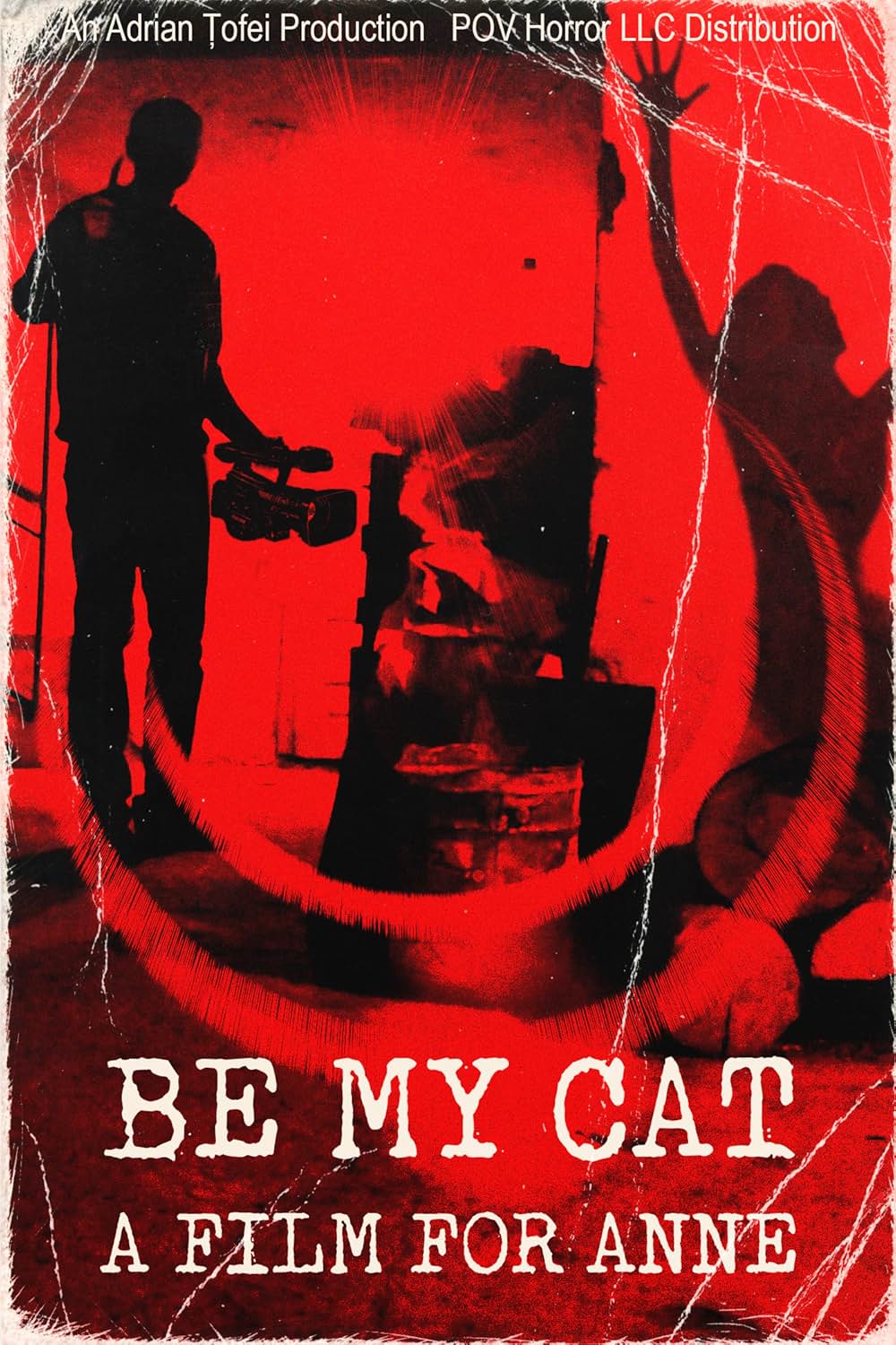 「Be My Cat: A Film for Anne（原題）」の画像