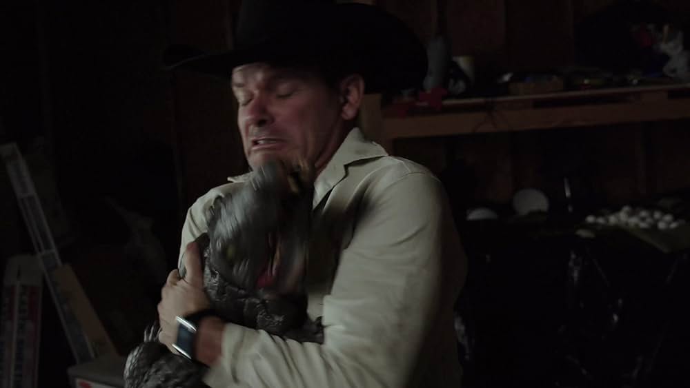 ワニゲーターの画像