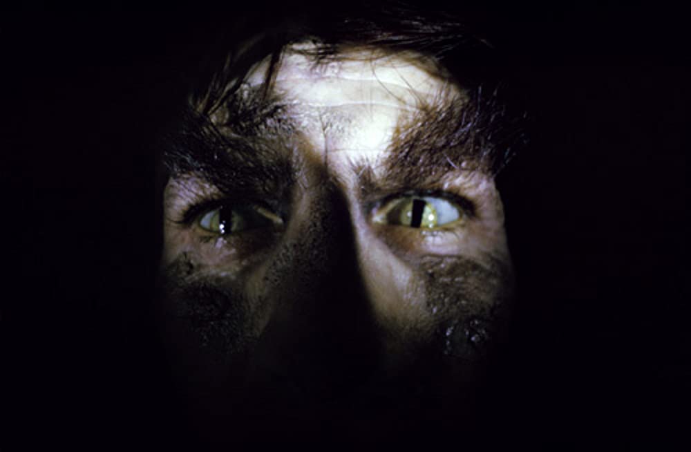 ローズマリーの赤ちゃんの画像