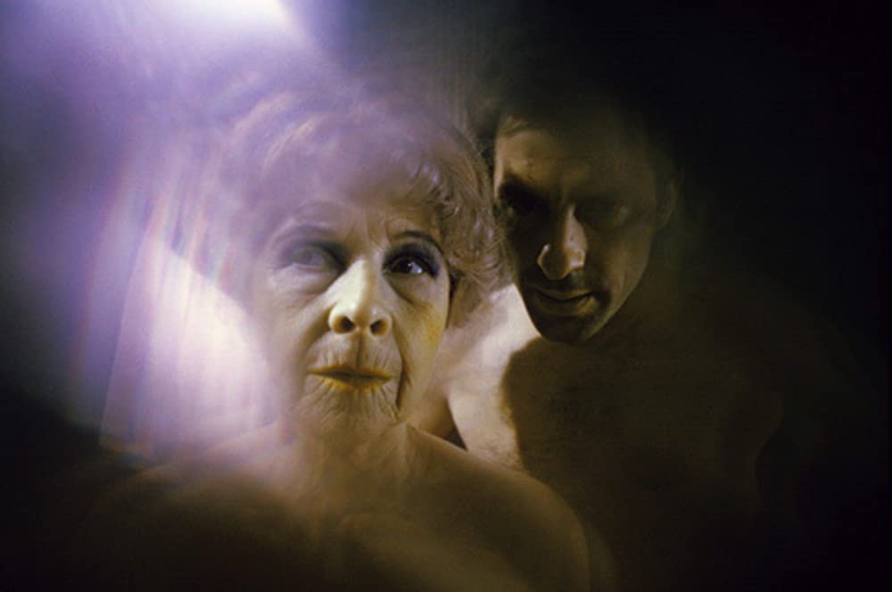 ローズマリーの赤ちゃんの画像