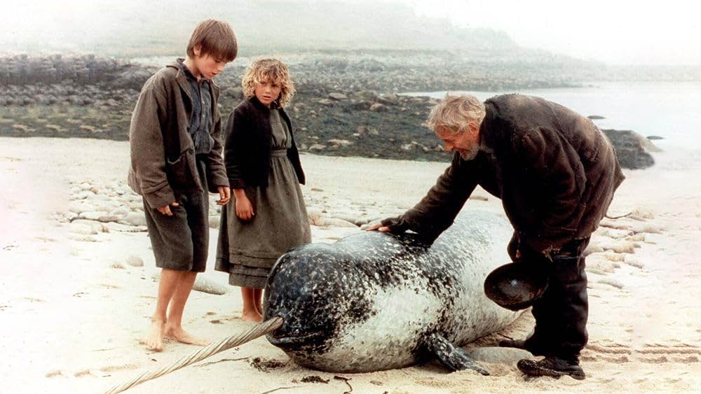 鯨が来た時の画像