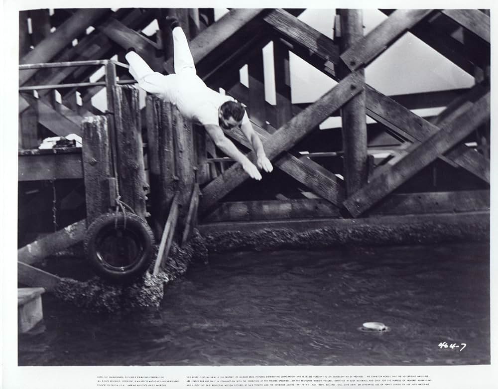 秘密兵器リンペットの画像