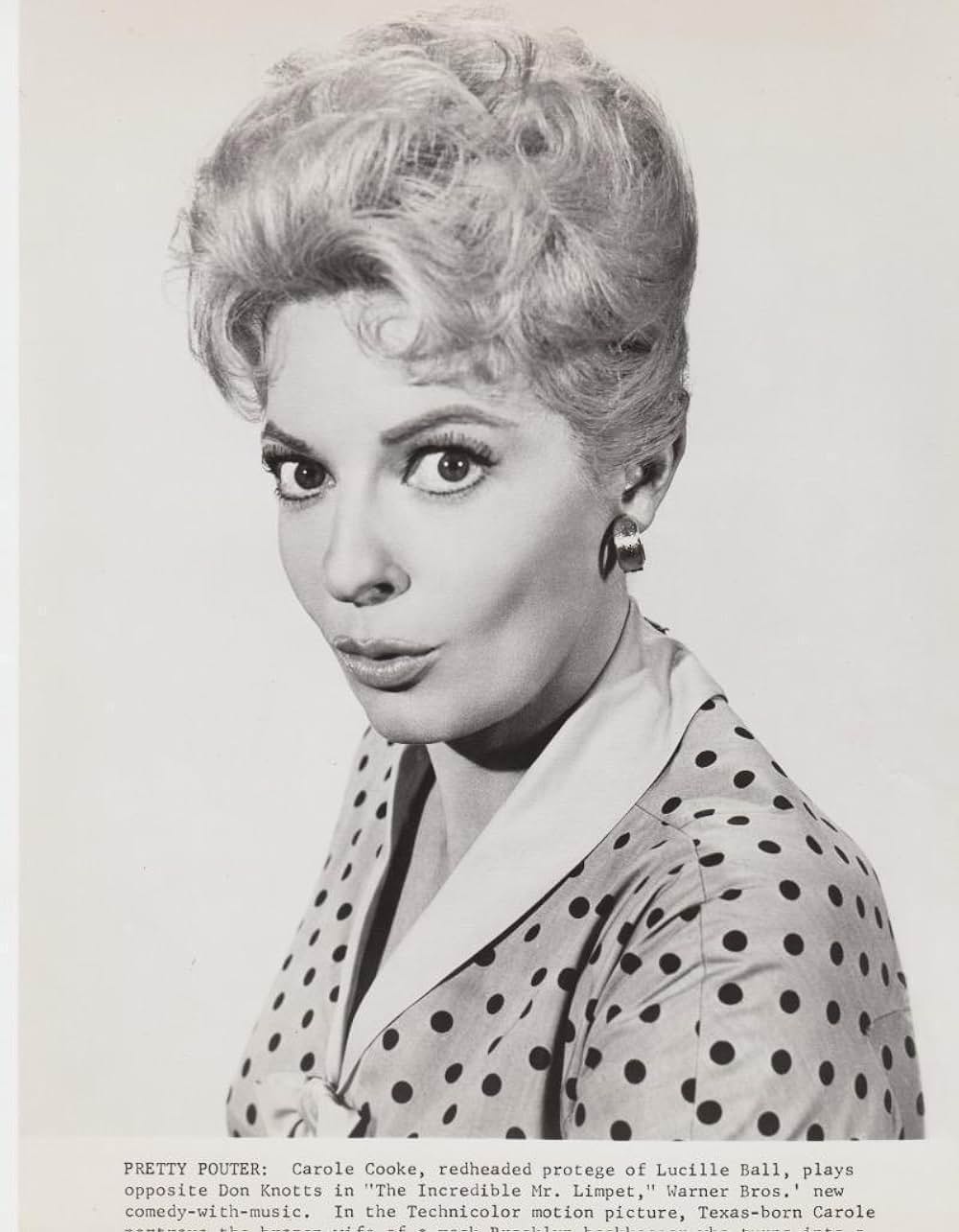 秘密兵器リンペットの画像