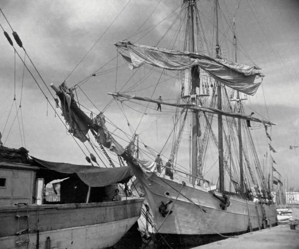 マリウスの画像