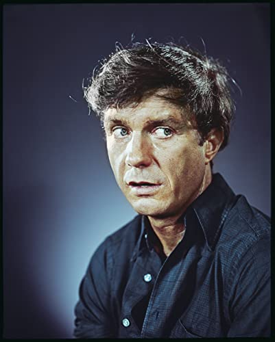 アルジャーノンに花束を／まごころを君にの画像