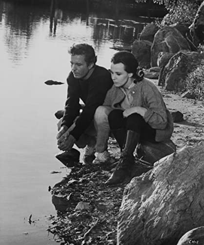 「アルジャーノンに花束を／まごころを君に」クレア・ブルーム & クリフ・ロバートソンの画像