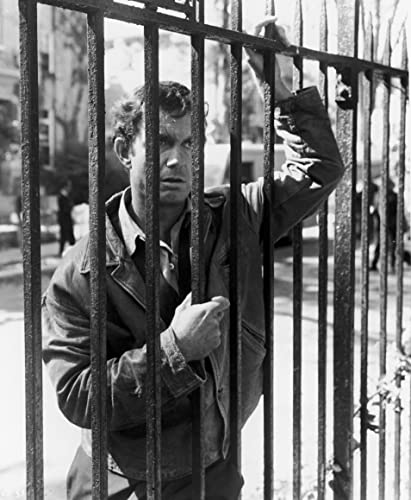 「アルジャーノンに花束を／まごころを君に」クリフ・ロバートソンの画像