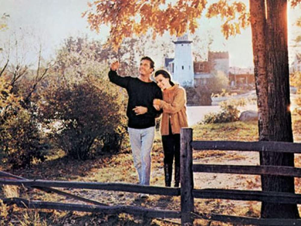 アルジャーノンに花束を／まごころを君にの画像