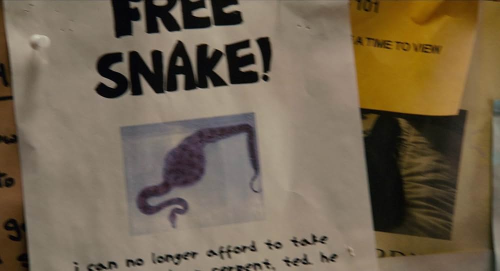 ポルノ☆スターへの道の画像