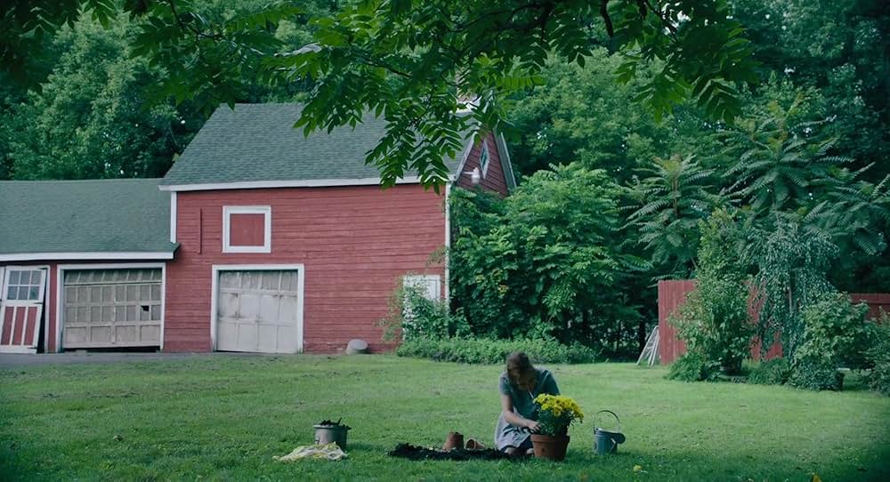 Shirley シャーリイの画像