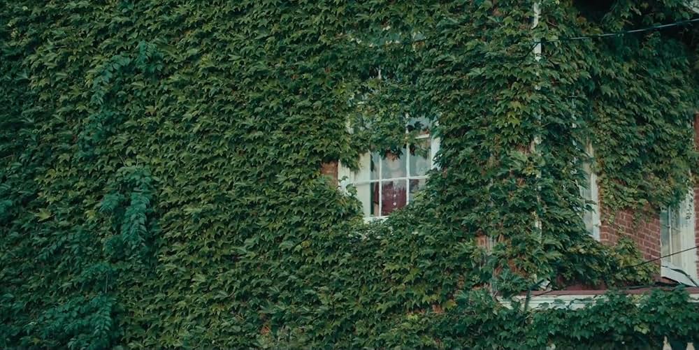 Shirley シャーリイの画像