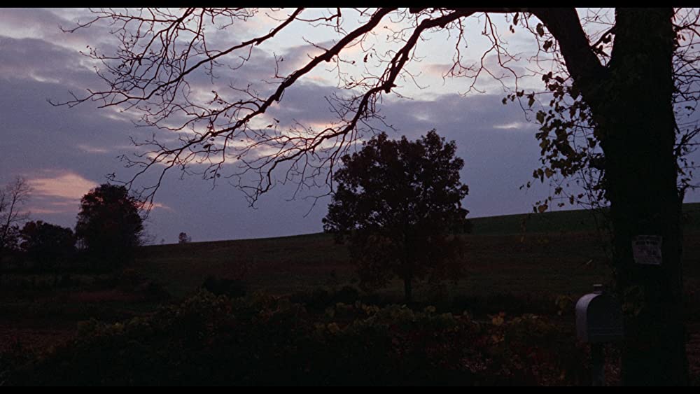 レーチェル レーチェルの画像