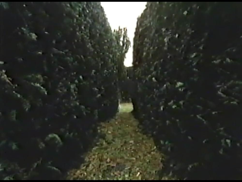 猫と血のレクイエムの画像