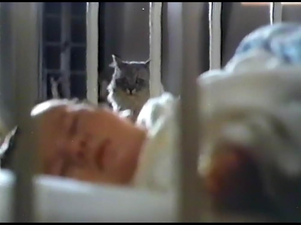 猫と血のレクイエムの画像