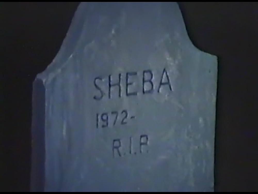 猫と血のレクイエムの画像