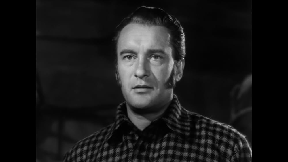 奇妙な女の画像