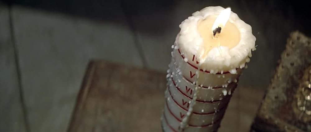 冬のライオンの画像