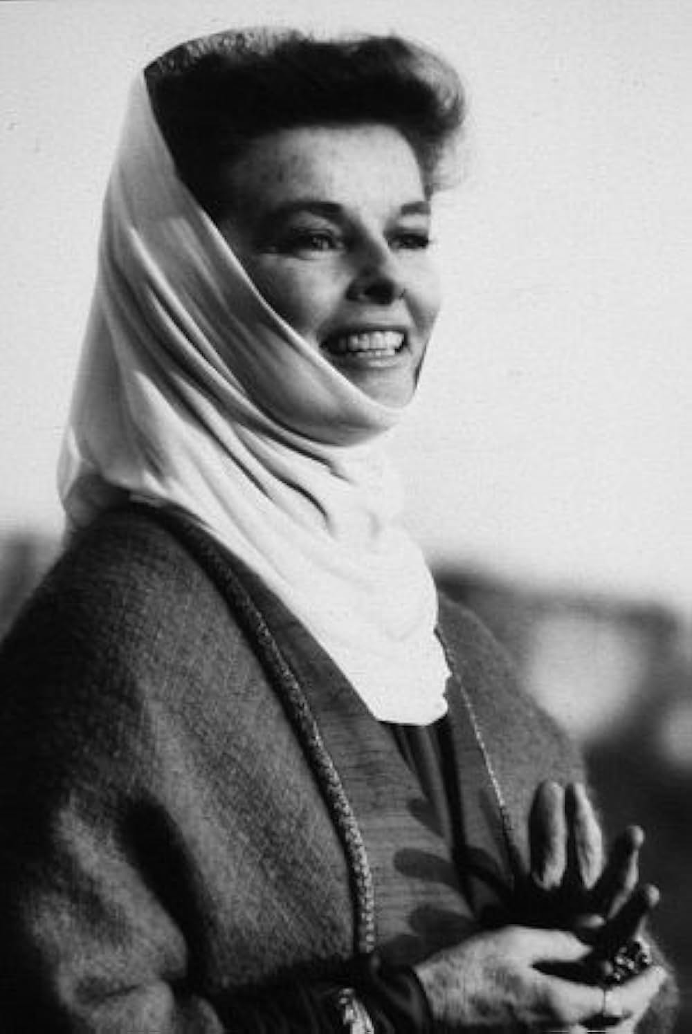 冬のライオンの画像