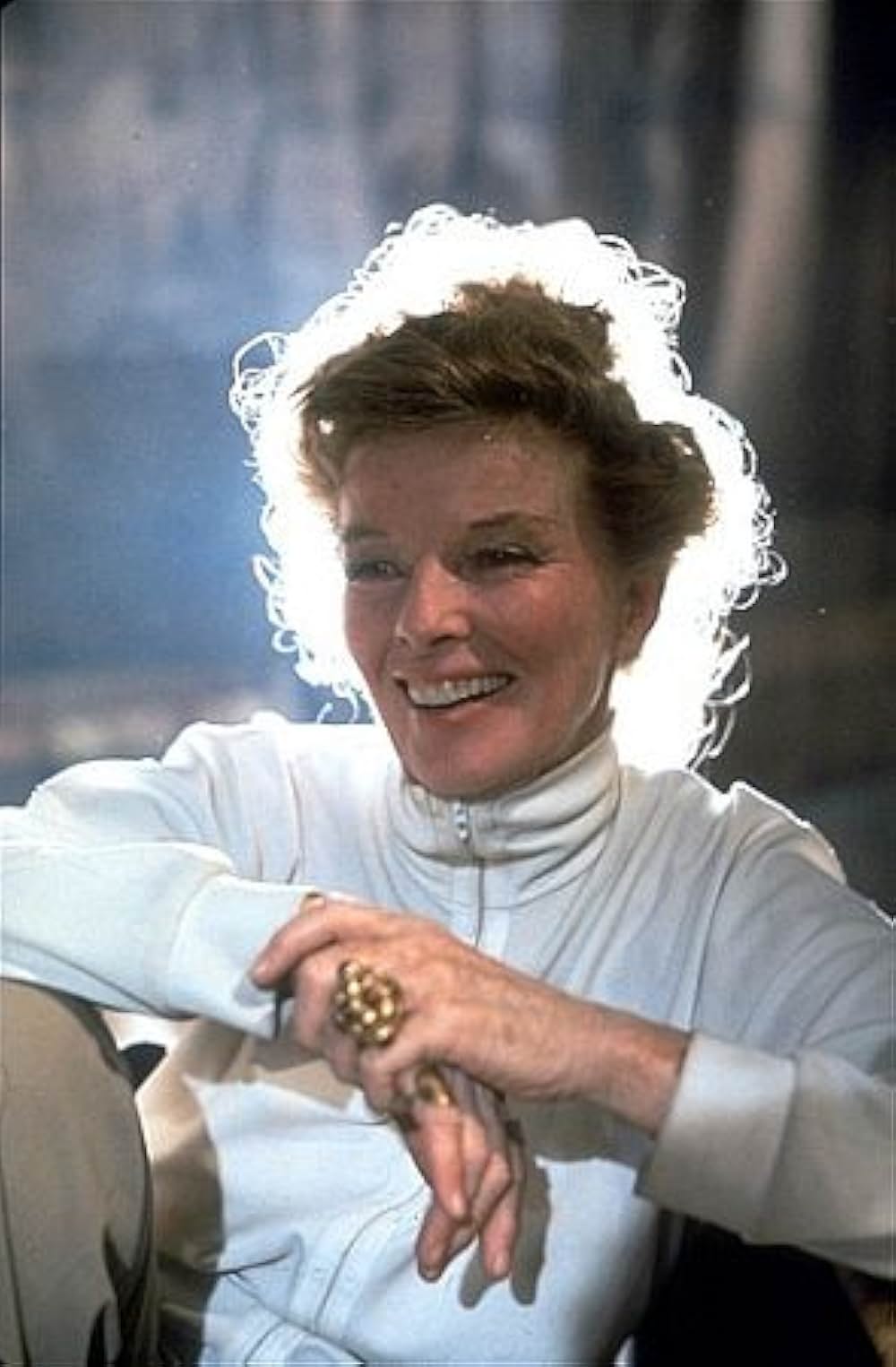 冬のライオンの画像