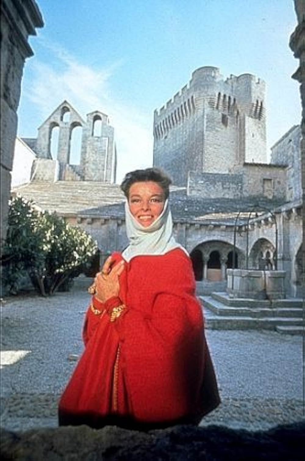 冬のライオンの画像