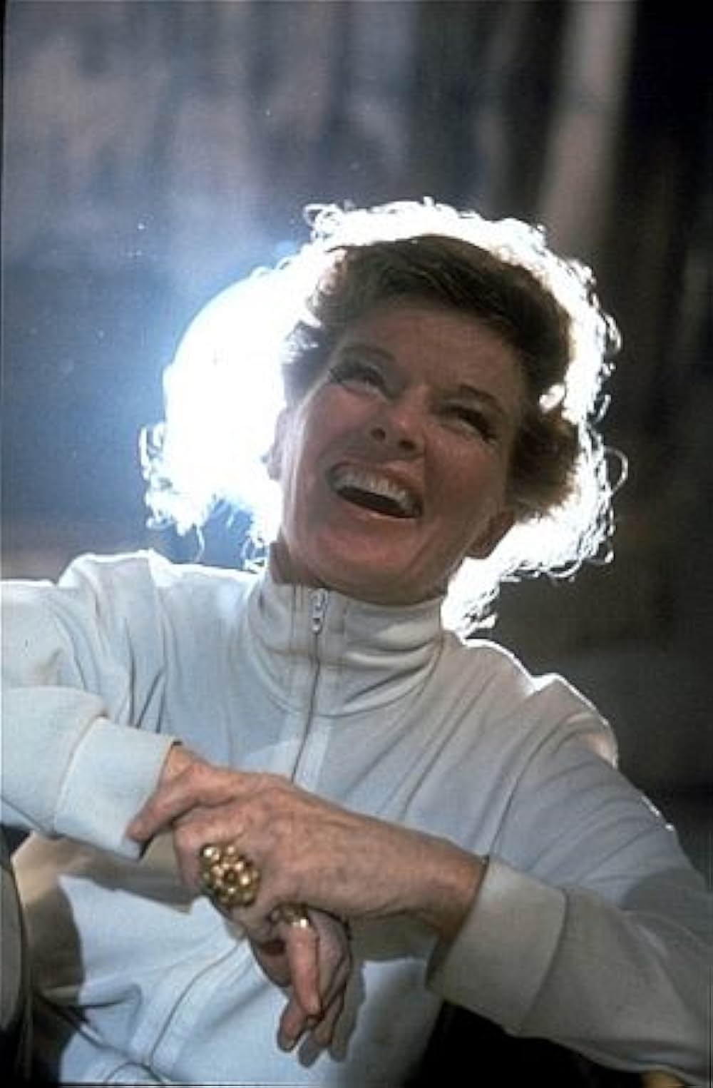 冬のライオンの画像