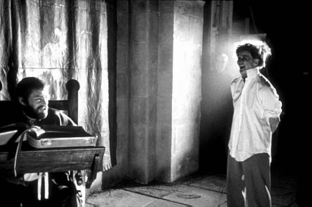 冬のライオンの画像