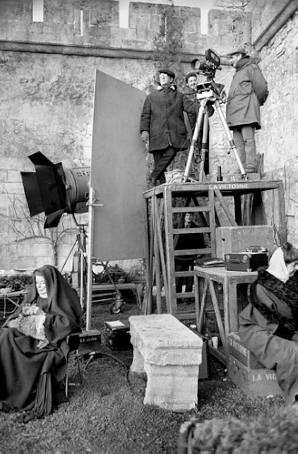 冬のライオンの画像